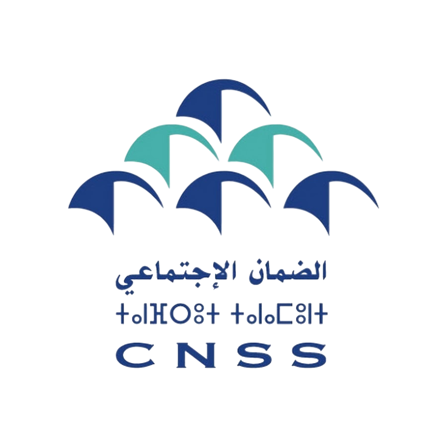cnss logo